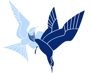 illu d'une sterne qui fait une pirouette