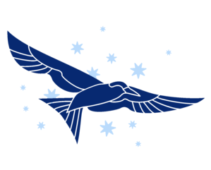 illu d'une sterne en vol, ailes déployées