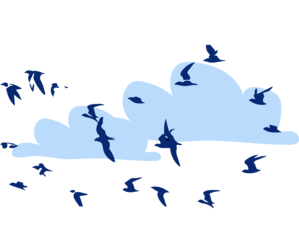 illu d'un large groupe de sternes
                     au loin avec des nuages au second plan
